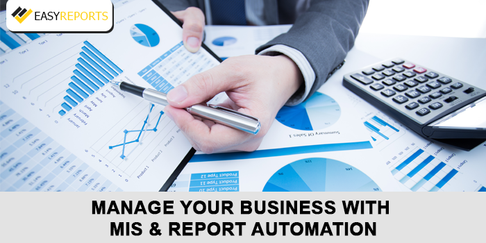 Manage your business with MIS & Report automation