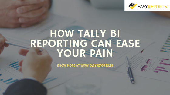 How Tally BI Reporting can ease your pain