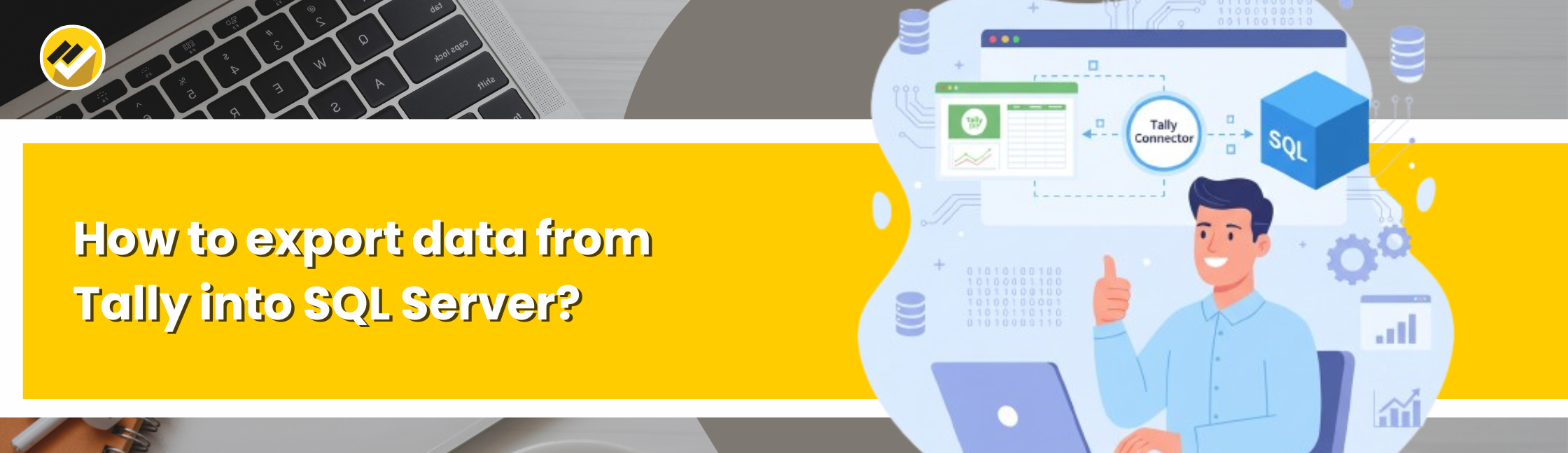 How to export Tally data into SQl Server