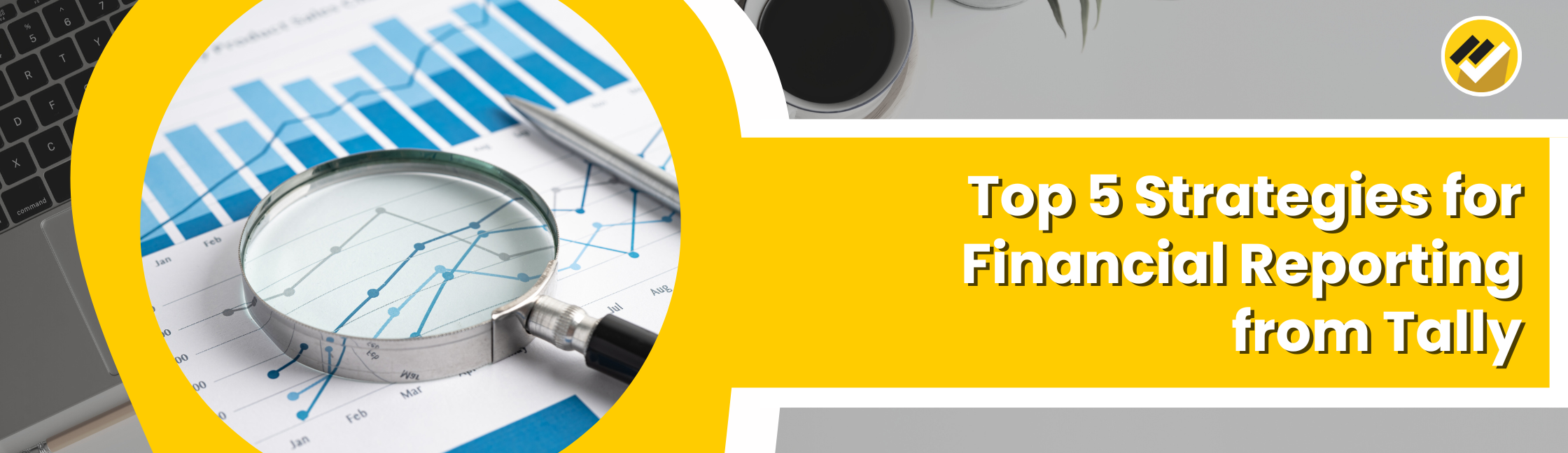 Top 5 Strategies for Financial Reporting from Tally