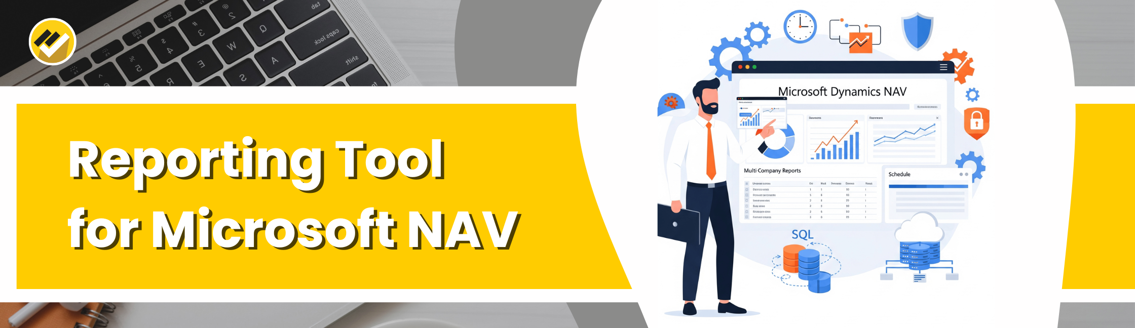 Reporting Tool for Microsoft NAV