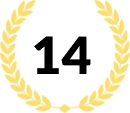 14 years of experience in business intelligence solutions