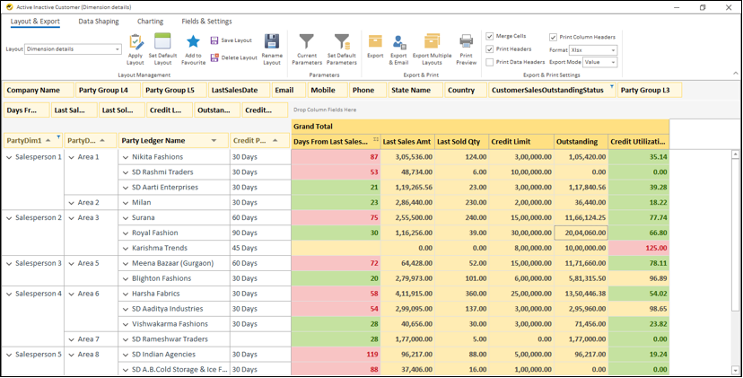 Automate Debtors Management from Tally - Active Inactive Customer in EasyReports