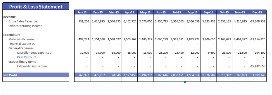 Financial Statement Profit & Loss